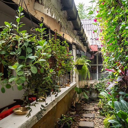 Kandy Inn Madugalle'S Family Guest House Екстер'єр фото